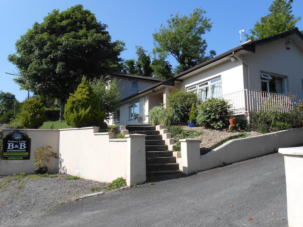 Mulberry Lodge B&B Westport Exterior photo